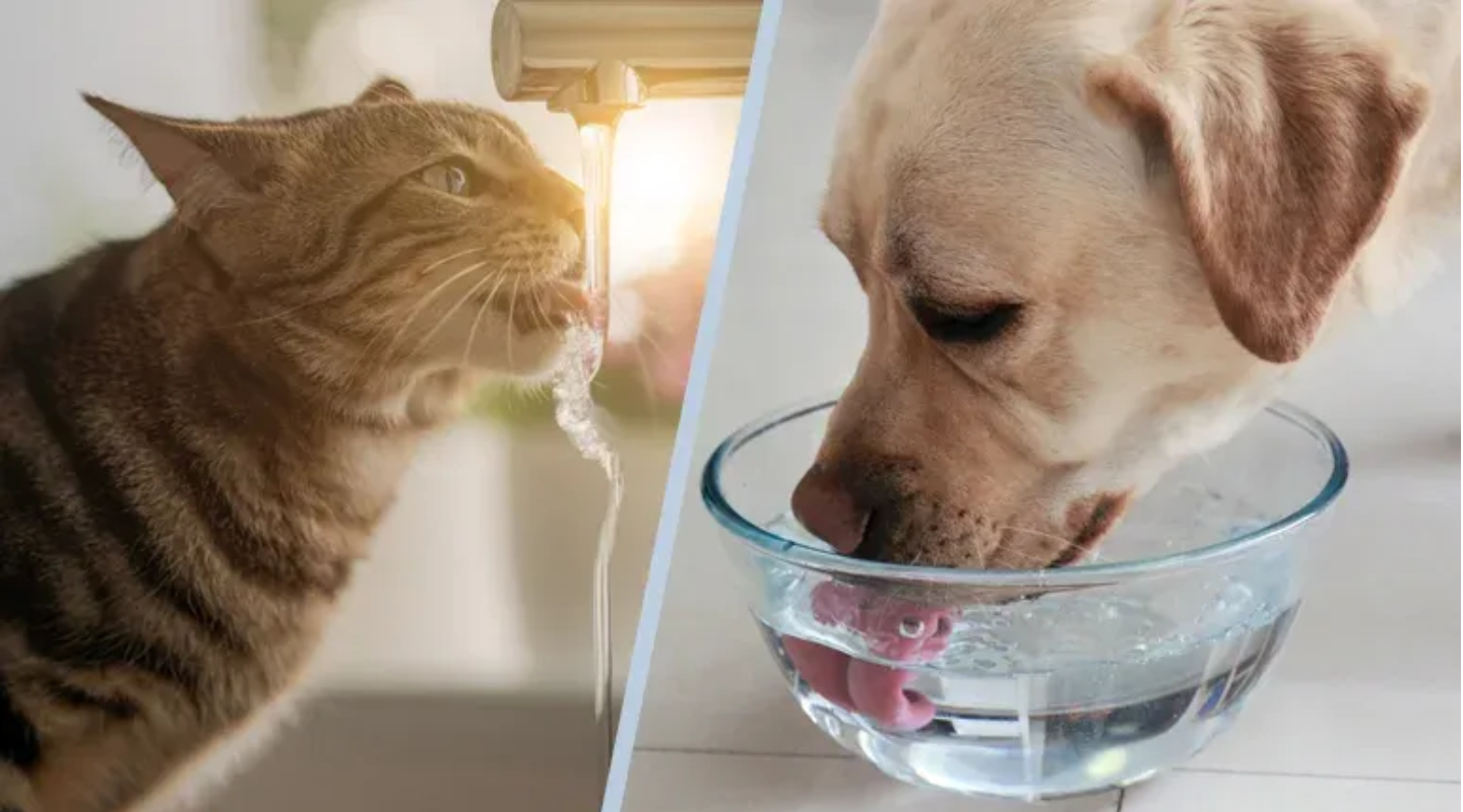 ảnh bài Blog 1440x800 (4)